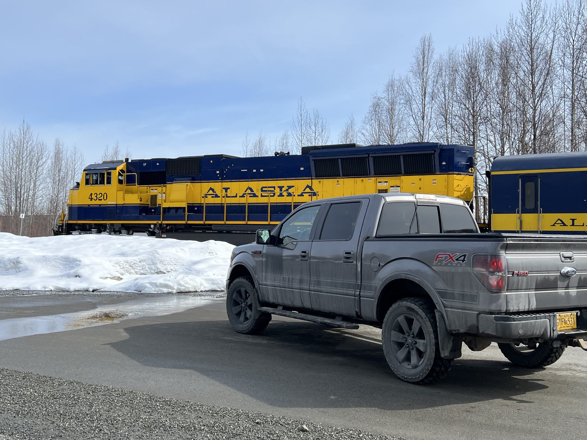 An Alaska Railroad train passing behind a pickup truck in a snowy landscape